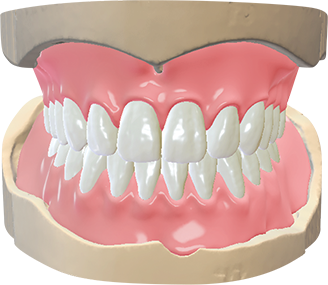 DWOS CAO / FAO - Prothèses complètes - Dental Wings DWOS CAO / FAO - Prothèses complètes - Dental Wings