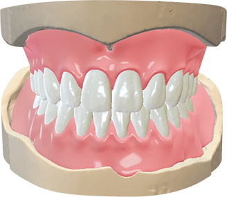 DWOS Protesi Totali - Dental Wings DWOS Protesi Totali - Dental Wings